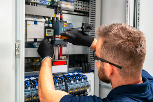 Best Residential Electrician Services  in Davis Junction, IL