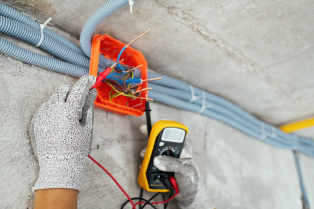 Best Affordable Emergency Electrician  in Davis Junction, IL